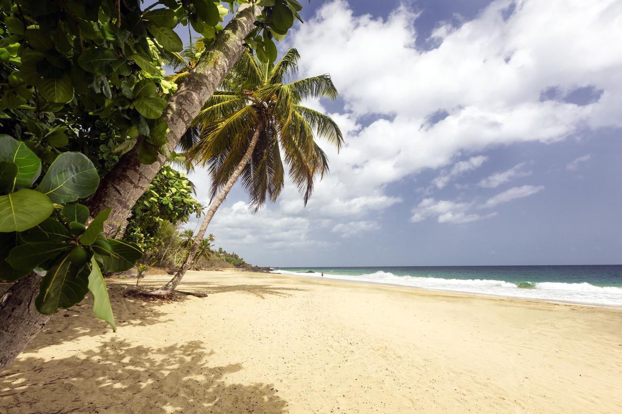 Grafton Beach Resort Black Rock Экстерьер фото